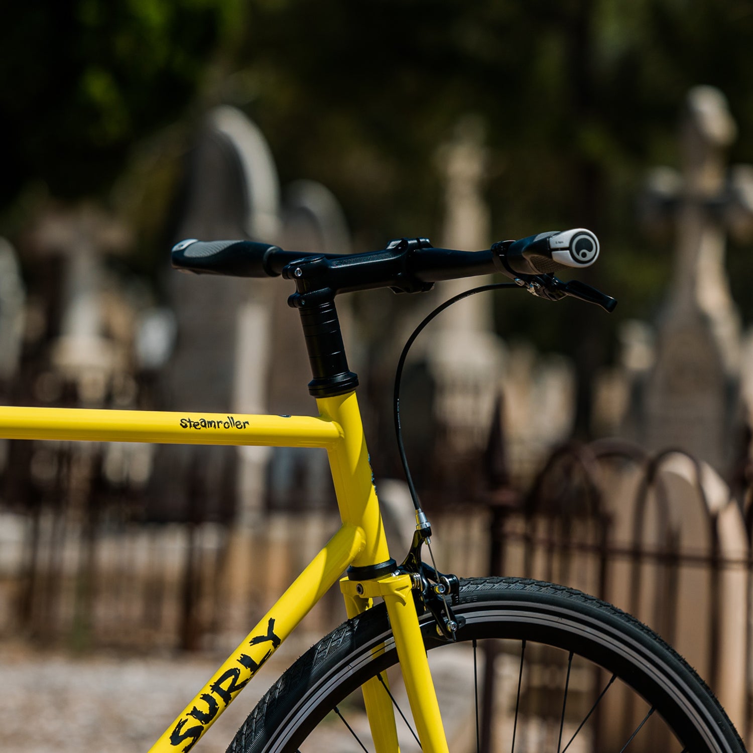Ergon GP1 Evo grips installed on the flat handlebars of a Surly Steamroller commuter bike, shot in a graveyard