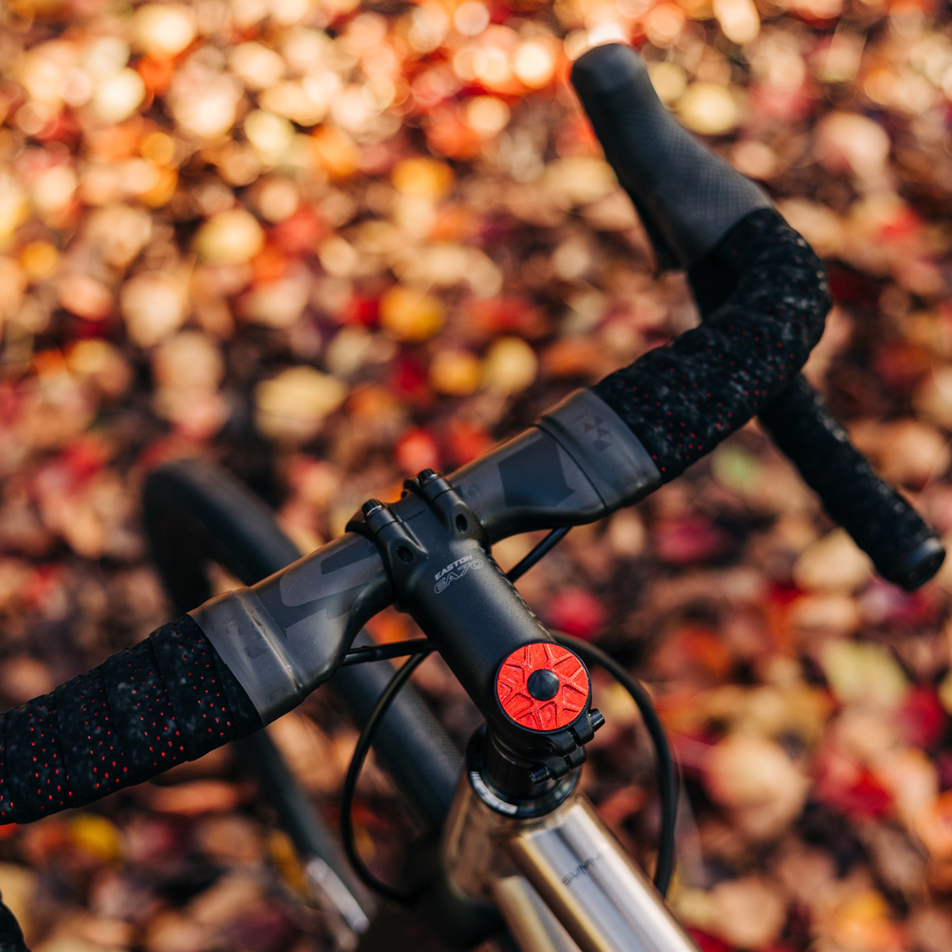 Garbaruk stem cap in red installed on a titanium Bossi bike, blending sleek aesthetics with functional performance, photographed against an autumn leaf background