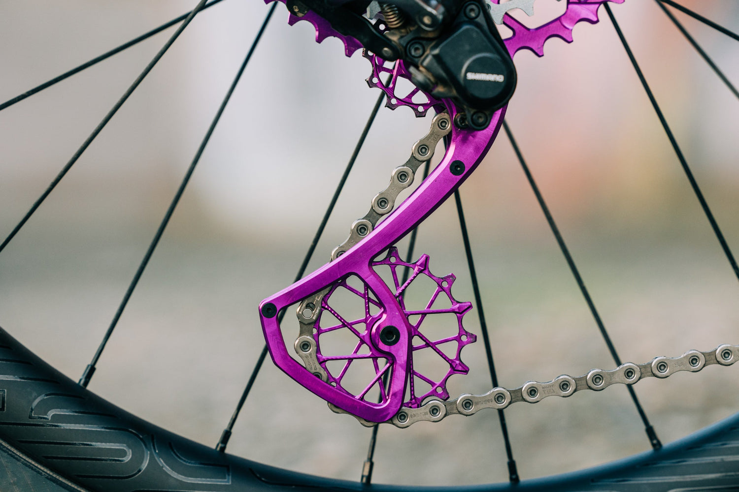Violet Garbaruk rear derailleur cage and pulley wheels, fitted to a bicycle