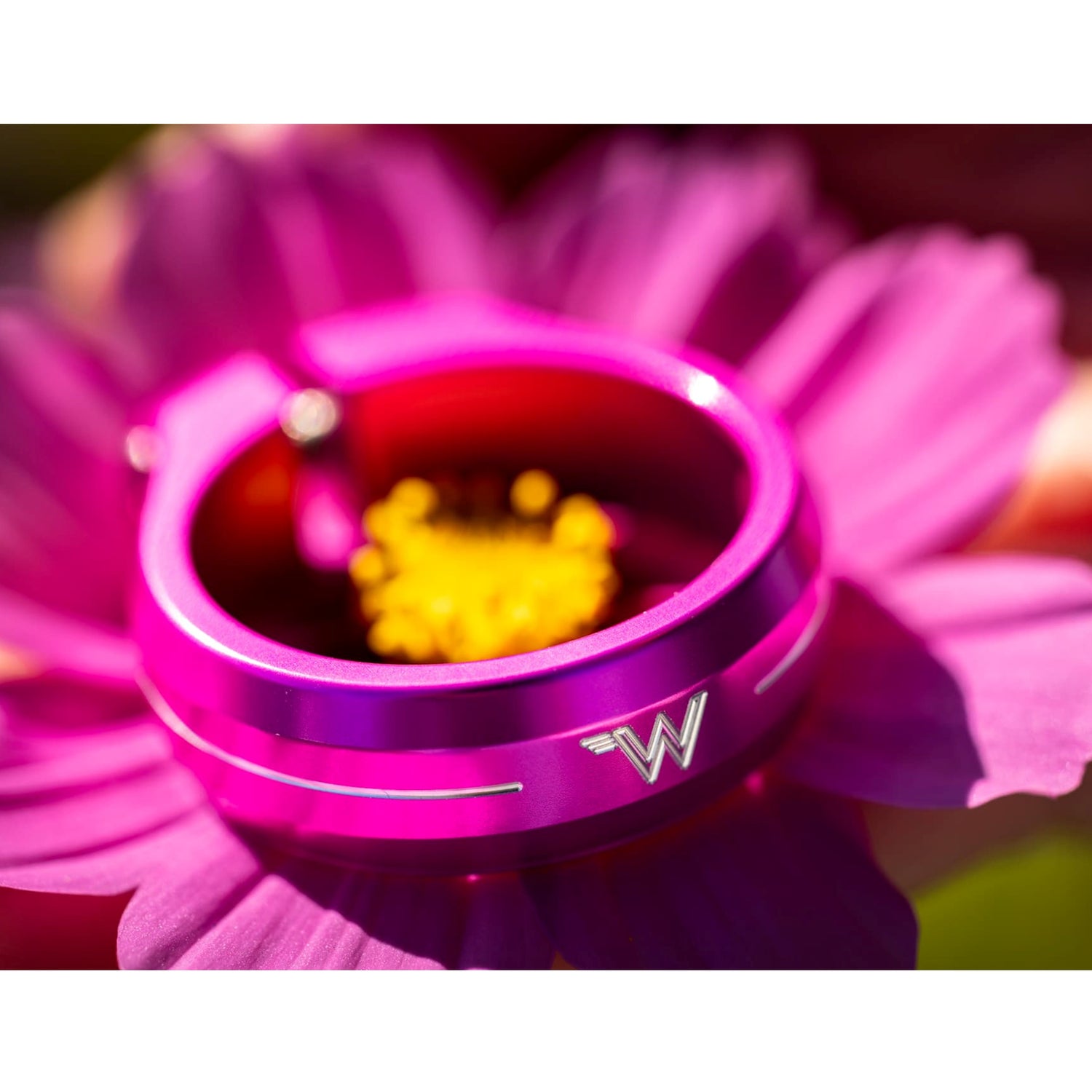 White Industries Seat Collar, pink anodised finish, resting on a pink flower